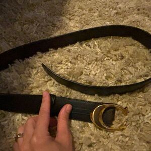 Coach belt